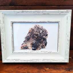 Wirehaired Dachshund Print 17x12cm - Rustic Frame - Sausage Dog Wall Art, Gift For Doxie Lovers - thumbnail 3