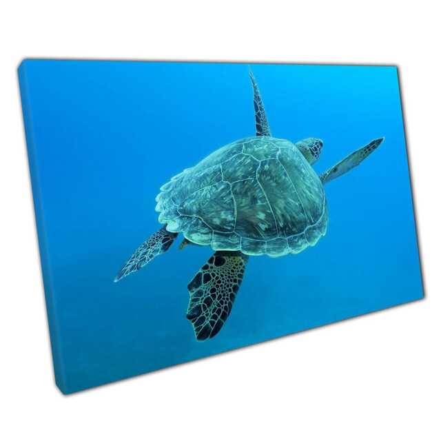 Large Sea Turtle Canvas Deep Blue Ocean Wall Art For Home & Office Decor - Underwater Nature Print - image 1