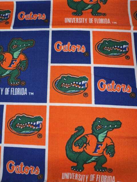 Madiebs Florida Gators Pillowcase - image 1