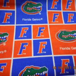 Madiebs Florida Gators Pillowcase - thumbnail 3