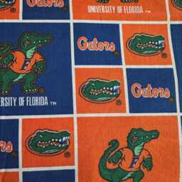 Madiebs Florida Gators Pillowcase - thumbnail 2