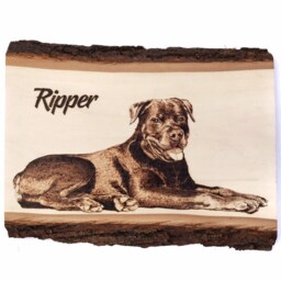 Dog Portrait Pet Woodburned Remembrance Gift Personalized Dog Rustic - thumbnail 3