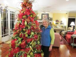 Deco Mesh Christmas Tree, Diy, Digital Video, Decorate Your Tree With Mesh, Learn How To With Your