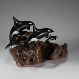 Orca Pod By John Perry 2 Adults & Calves 9In Long Sculpture On Burlwood Base - thumbnail 3