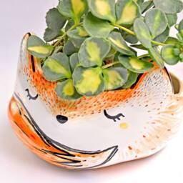 Mini Planter, Fox Housewarming Gift, Woodland, Animal Ceramic Succulent Fox, Gift - thumbnail 3