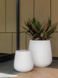 Pax Fiberstone Planter - Matt White - thumbnail 1