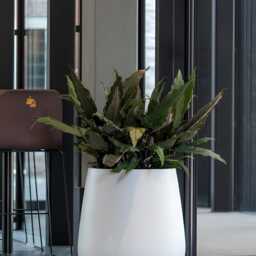 Pax Fiberstone Planter - Matt White - thumbnail 2