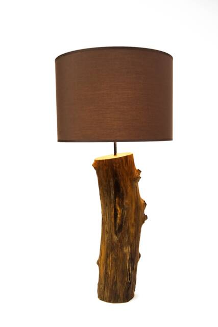 Unigue Wooden Lamp With Lampshade, Black Locust, Rustic Lamp, Home Decor, Old Branch, Reclaimed Wood