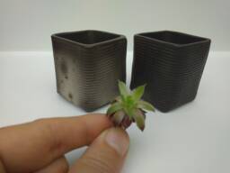 Set Of 2 Square Ceramic Succulent Planters. Small Handmade Black Pots. Minimalistic Wabi Sabi Planters