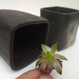 Set Of 2 Square Ceramic Succulent Planters. Small Handmade Black Pots. Minimalistic Wabi Sabi Planters - thumbnail 2