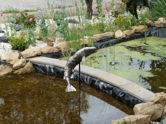 Humping Salmon - Handmade Stainless Steel Sculpture - image 1