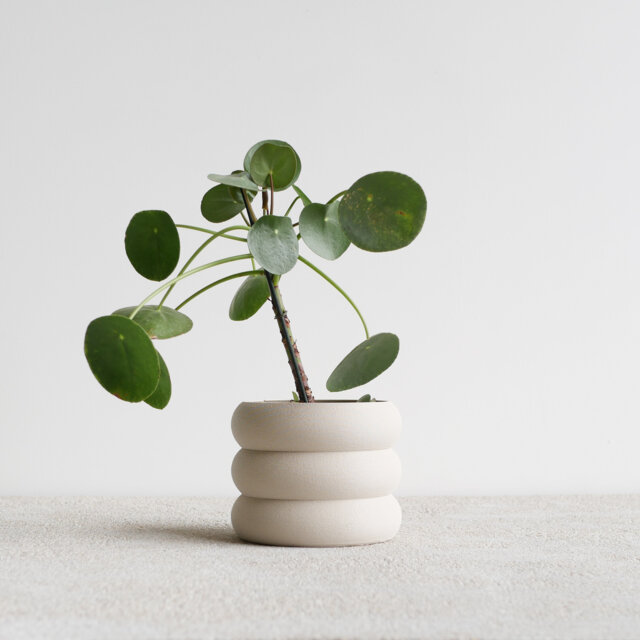 "White Indoor Wooden Planter ""Eden" - image 1