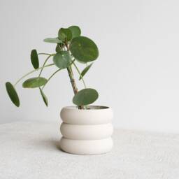"White Indoor Wooden Planter ""Eden" - thumbnail 4