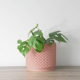 "Carolina Planter With Drainage & Saucer in Country Pink, Lattice 3D-Printed Plant Pot, Small To Large Sizes 4"" 5"" 6"" 7"" 8" - thumbnail 3