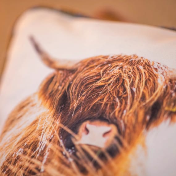 Highland Cow Harris Tweed Cushion - Hielan Beastie Photo Print Handwoven Scottish Wool Home Decor - image 1