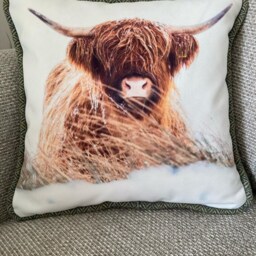 Highland Cow Harris Tweed Cushion - Hielan Beastie Photo Print Handwoven Scottish Wool Home Decor - thumbnail 2