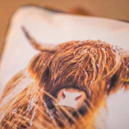 Highland Cow Harris Tweed Cushion - Hielan Beastie Photo Print Handwoven Scottish Wool Home Decor - thumbnail 1