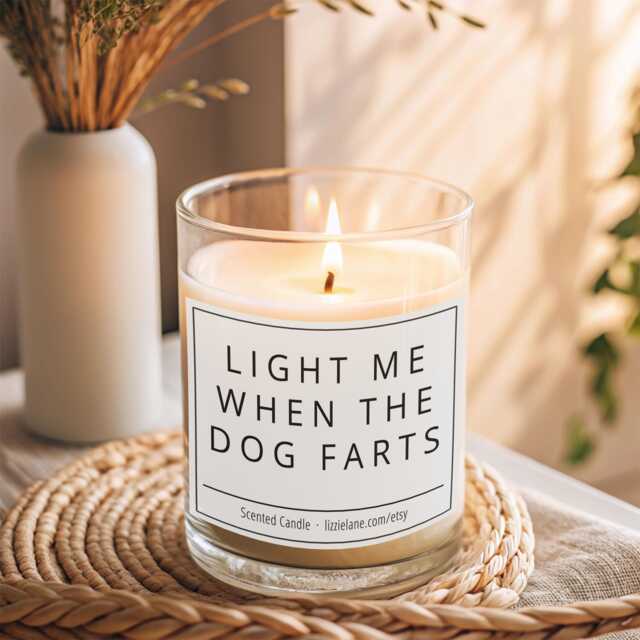 Dog Gifts, Light Me When The Farts, Funny Gift For Mum, Candle, Candles, Lovers Gift, Birthday Dad - image 1
