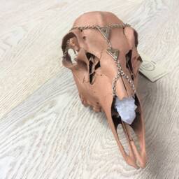 Deer Skull Wall Art Copper, Spirit Quartz, Altar Adornment - thumbnail 3