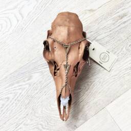 Deer Skull Wall Art Copper, Spirit Quartz, Altar Adornment - thumbnail 2