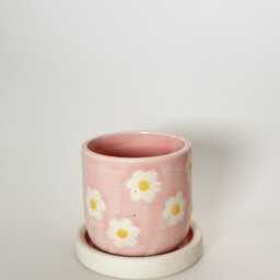 Mini Pink Daisy Planter - thumbnail 4