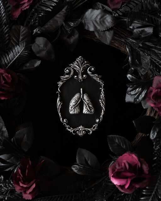 Lungs in Ornate Oval Wall Plaque - Macabre Gothic Decor Halloween & Spooky Season Gift Witchy Homeware Anatomy Home Present - image 1