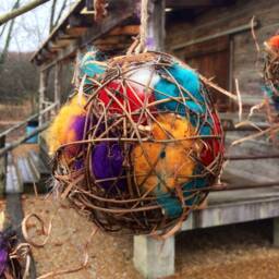 Rainbow Bird Nesting Ball - Natural Wool Feeder, 6 Inch - thumbnail 2