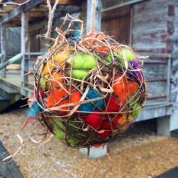 Rainbow Bird Nesting Ball - Natural Wool Feeder, 6 Inch - thumbnail 1