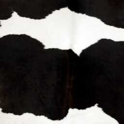 Small Black & White Cowhide Rug Natural Hair-On Leather Decor - 39 X 42 Inches - thumbnail 2