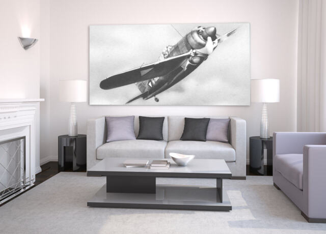 Vintage Airplane Print Black & White Aviation Wall Art - image 1