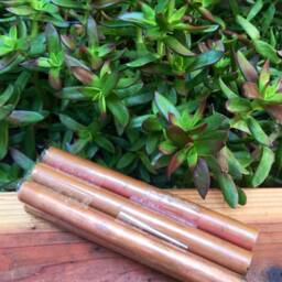 Protective Orgone Spikes - 36-48 Packs Earth Pipes - Energy Ground Purification Garden Booster Chembuster - thumbnail 3