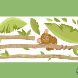 "Wall Sticker ""Liane Tarsius With Or Without Measuring Stick" - thumbnail 2