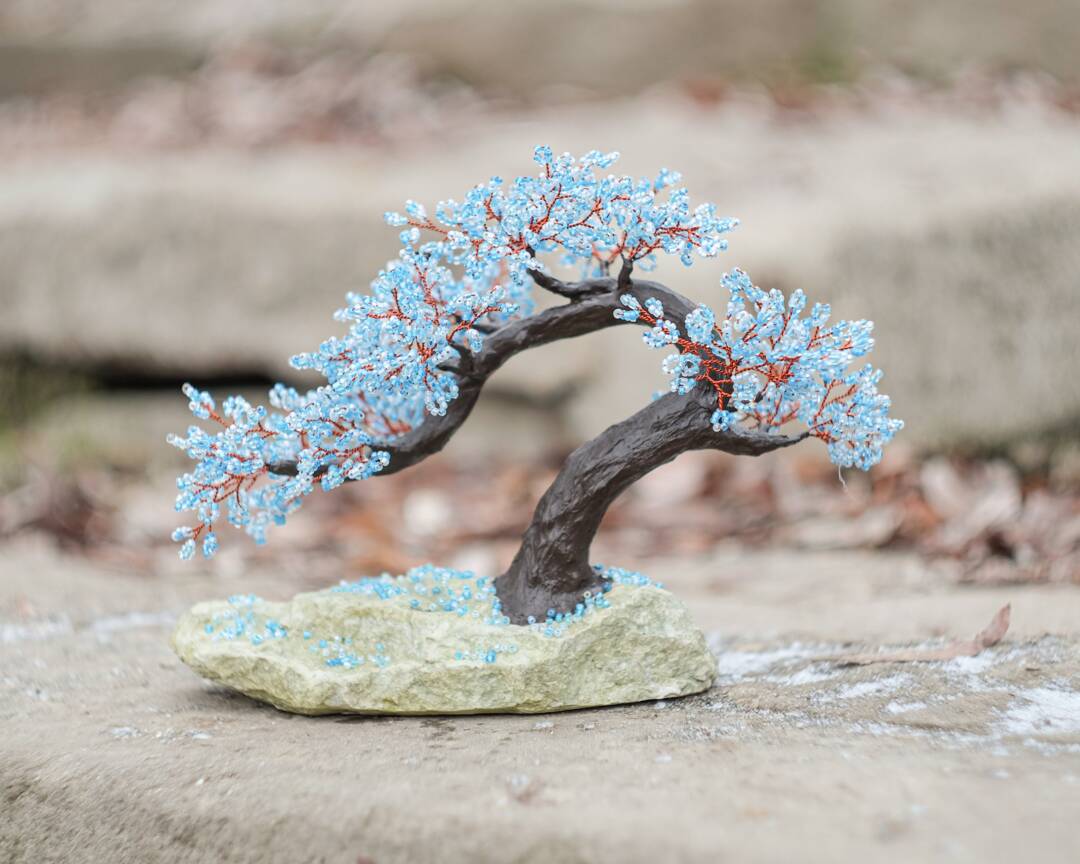 planta bonsai Exquisite Assortment of Bonsai Trees with Ceramic Pot - Miniature Trees main image 0