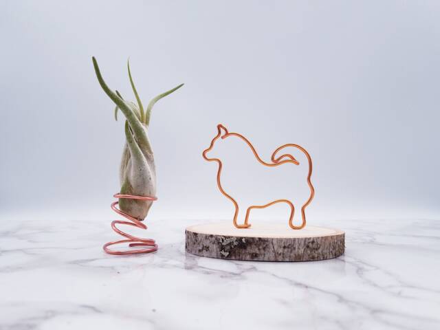 Wire Pomeranian Sculpture, Personalized Dog Art, Desk Decor - image 1