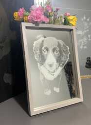 Photo Engraved Mirror Portrait Etched Black Framed Stand Decor Personalised Grey Wood White Box Home, Art, Dog Pet Family Print Memorial - thumbnail 1