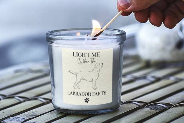 Labrador Gifts, Funny Gift For Dog Owners, Farts Candle, Scented Jar Candles, Mum, Dad, Mothers Day, Novelty, Present - image 1