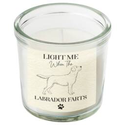 Labrador Gifts, Funny Gift For Dog Owners, Farts Candle, Scented Jar Candles, Mum, Dad, Mothers Day, Novelty, Present - thumbnail 4