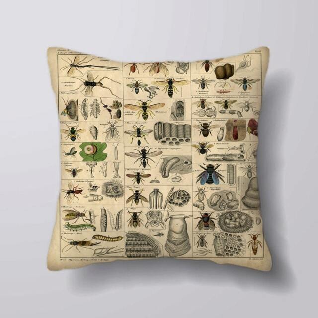 Insects Bonticle Vintage Animal - Cushion Cover Case Or Stuffed With Insert - image 1