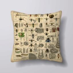 Insects Bonticle Vintage Animal - Cushion Cover Case Or Stuffed With Insert - thumbnail 1