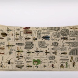 Insects Bonticle Vintage Animal - Cushion Cover Case Or Stuffed With Insert - thumbnail 2