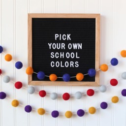 Graduation Garland - Dorm Room Decor College Dorm Felt Ball Back To School Team Spirit Pride - thumbnail 1