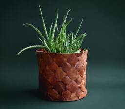 Handwoven Leather Planter Cover Modern Indoor Plant Vase - thumbnail 1