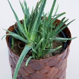 Handwoven Leather Planter Cover Modern Indoor Plant Vase - thumbnail 2