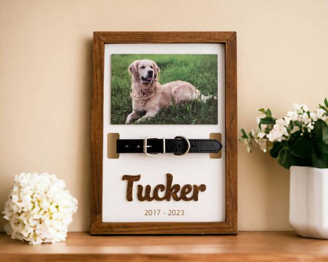 Pet Memorial Collar Holder, Remembrance Frame, Picture, Gift For Loss, Cat Memorial, Dog Holder E84 - image 1