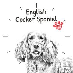 English Cocker Spaniel, Free Standing Mdf Floor Clock With An Image Of A Dog - thumbnail 2
