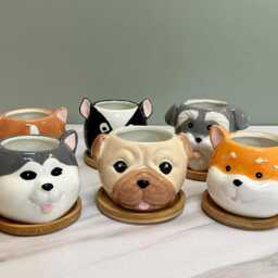 Dog Succulent Plant Pots With Bamboo Coaster/Small Ceramic Desktop Planters Indoor Office Home Decoration New Gift Idea - thumbnail 2