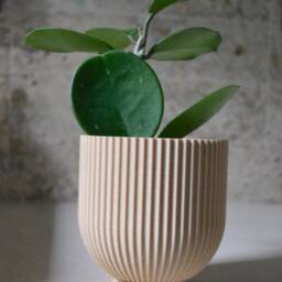"Wood Indoor Planter ""Bowl" - thumbnail 3