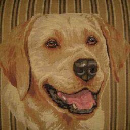 Labrador Head Stripe Tapestry Cushion Cover - thumbnail 2