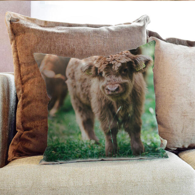 Baby Calf Highland Cows Farm Animal Photography - Decorative Pillow Throw Cushion Fabric , Case Cover Or With Filling