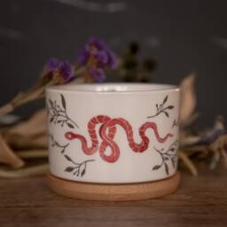 Floral Snake & Moon Phases Ceramic Succulent Planter, Gift, Cactus Home D??cor, Gothic Decor, Witchy Mystical Gift - thumbnail 1